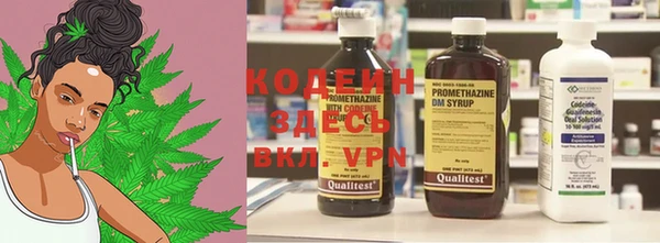 ECSTASY Алзамай