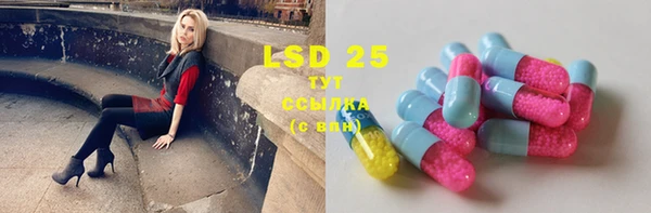 ECSTASY Алзамай