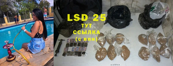 ECSTASY Алзамай