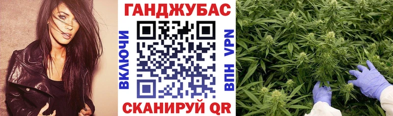Каннабис планчик  Анива 